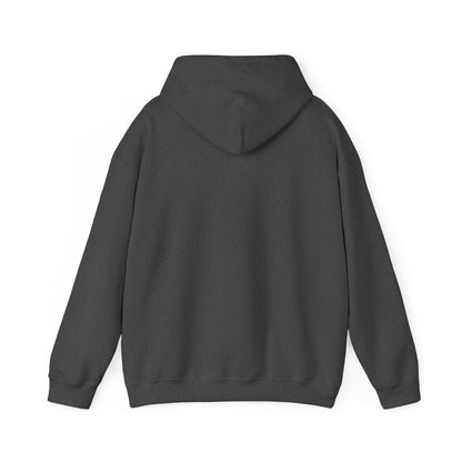 Elvis Silhouette Hoodie — Cozy Music Lover Pullover with Color Block Notes