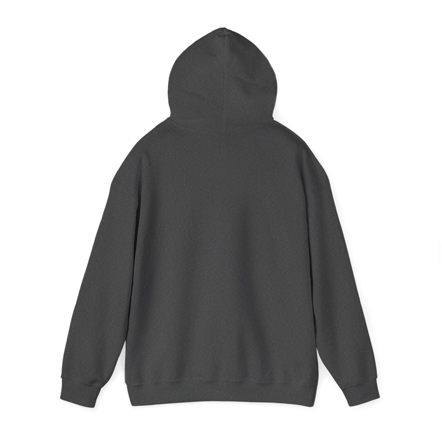 Elvis Silhouette Hoodie — Cozy Music Lover Pullover with Color Block Notes